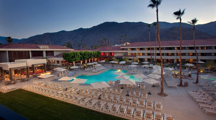 Experience a Pet-Friendly Stay at Hilton Palm Springs
