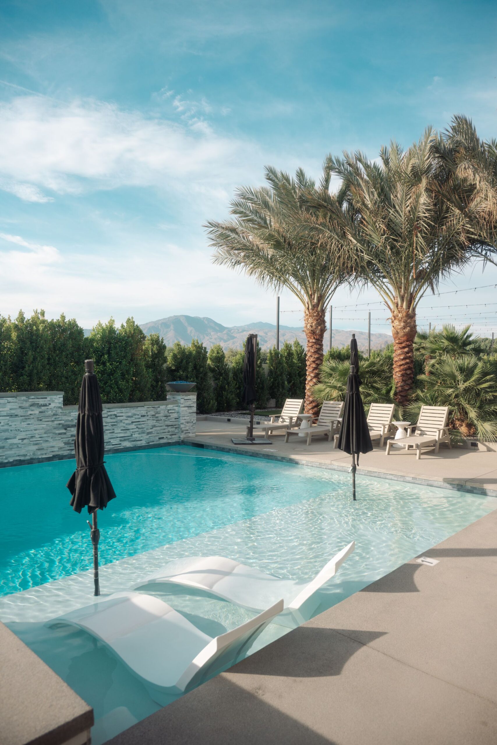 luxury pool surrounded by palm trees and lounge chairs