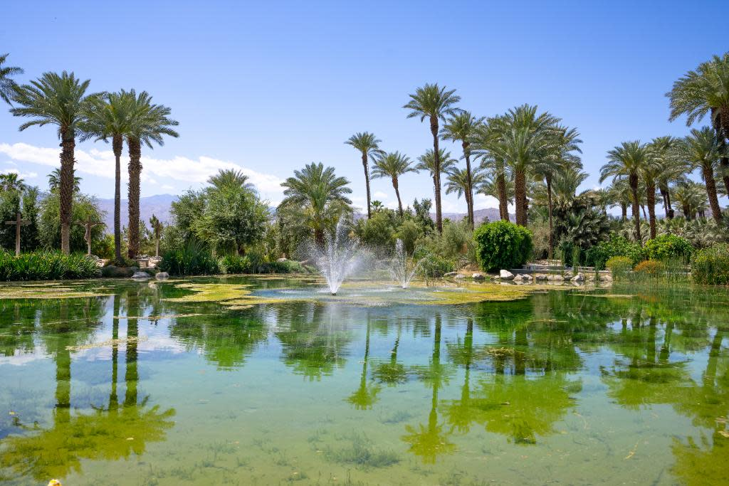Indio Activities: 20 Best Things to Do (2026 Guide) 2 Shields Date Garden