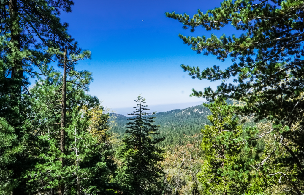 Day Trips Within an Hour of Indio: 6 Best Picks 2026 7 image 44