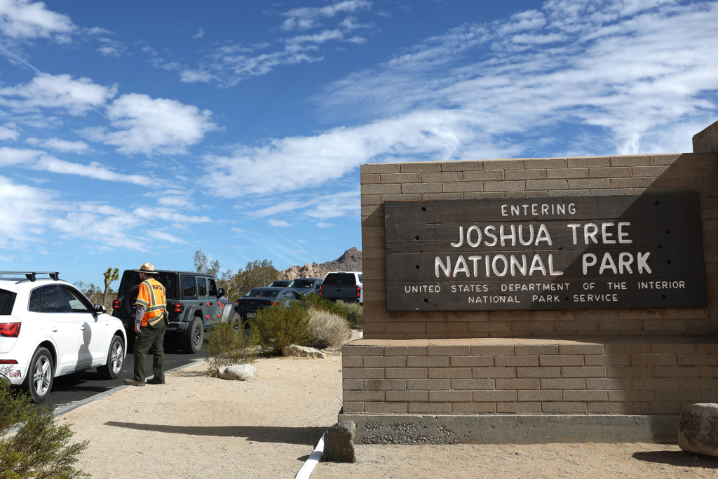 Palm Springs to Joshua Tree: Smart 2026 Day Trip Guide 5 Route 3: North Entrance (29 Palms): Best for Hikers