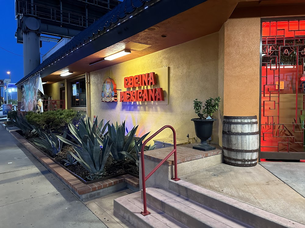 Palm Springs to Joshua Tree: Smart 2026 Day Trip Guide 8 Post-Hike Bites (Returning to Indio)