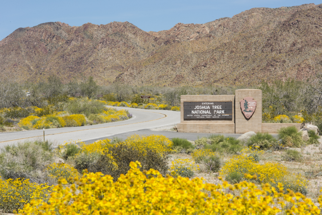 Indio vs Palm Springs: Where to Stay in 2026 (Honest Guide) 25 Indio vs Palm Springs: Joshua Tree Access and Key Attractions