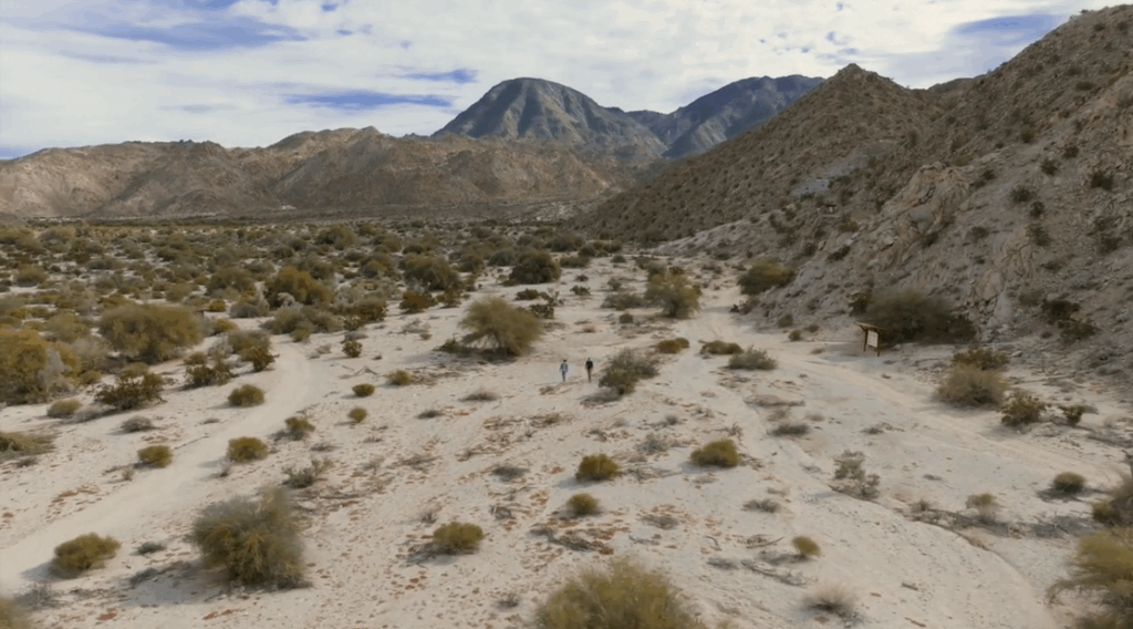 The Living Desert Zoo and Gardens: A Family Day Trip From Indio 9 Wild Americas Section: Desert Wildlife Close to Home