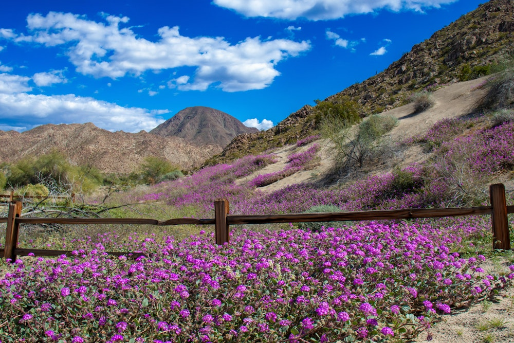 The Living Desert Zoo and Gardens: A Family Day Trip From Indio 11 Nature and Hiking Trails