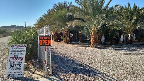Things to Do in Indio With Kids: 14 Best Spots (2026) 4 Sam Cobb Farms: A True Farm Experience