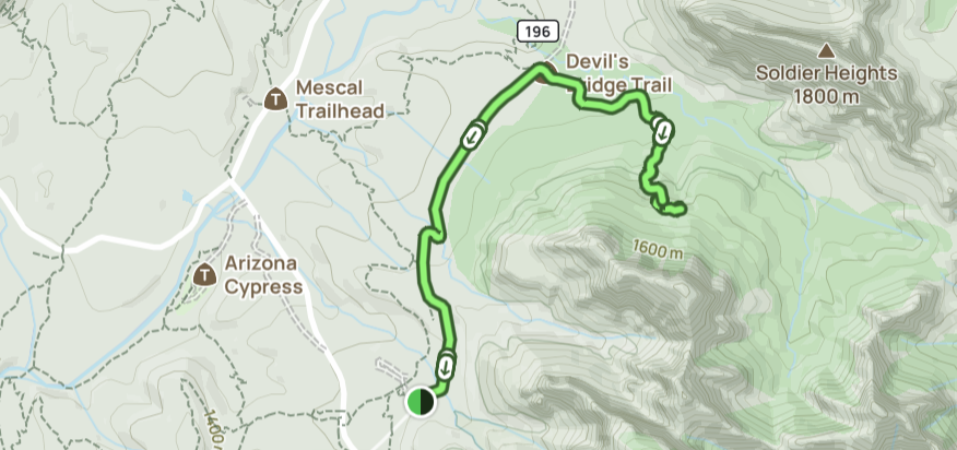Sedona Travel Guide: 12 Expert Tips for a Perfect 2026 Trip 7 Devil's Bridge Hike Sedona